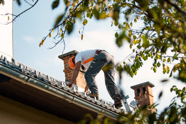Best Roof Insulation Installation  in Plymouth, CA