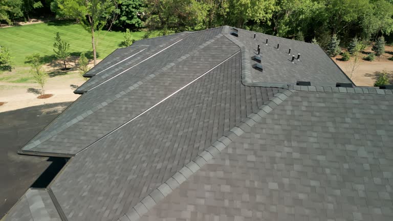 Best Solar Panel Roofing Installation  in Plymouth, CA