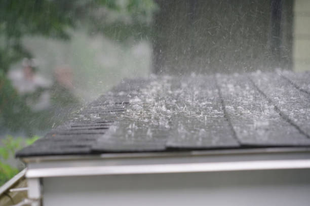 Best Roof Insulation Installation  in Plymouth, CA